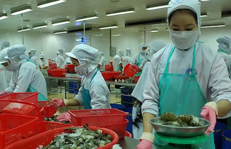 Nỗi[-]nhục[-]của[-]doanh[-]nhân[-]Việt[-]ở[-]Nhật[-]khi[-]chứng[-]kiến[-]có[-]đinh[-]trong[-]tôm